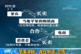 蘋果滯銷的悲情牌 互聯網銷售背后的真相調查